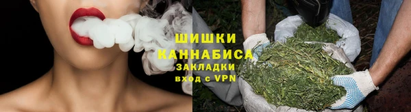 сатива Верея