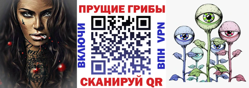 Галлюциногенные грибы GOLDEN TEACHER  хочу наркоту  darknet официальный сайт  Гремячинск 